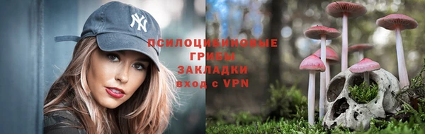 ПСИЛОЦИБИНОВЫЕ ГРИБЫ Алзамай
