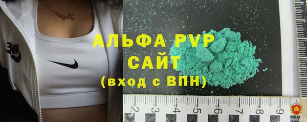 молекула духа Ростов