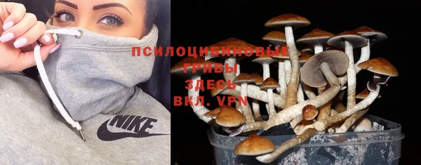 кристаллы Алексеевка